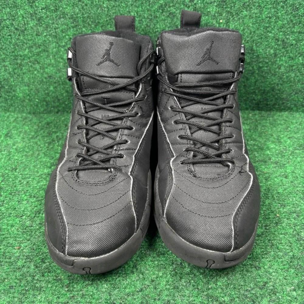 Jordan 12 retro